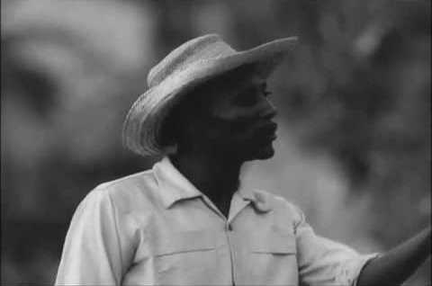 Maioria absoluta (Thomas doc 3)