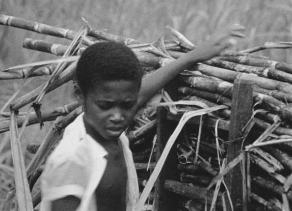 Cantos de trabalho (Thomas doc2)